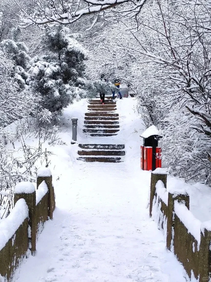 华山一日游-冬季特惠路线闭眼冲❄️