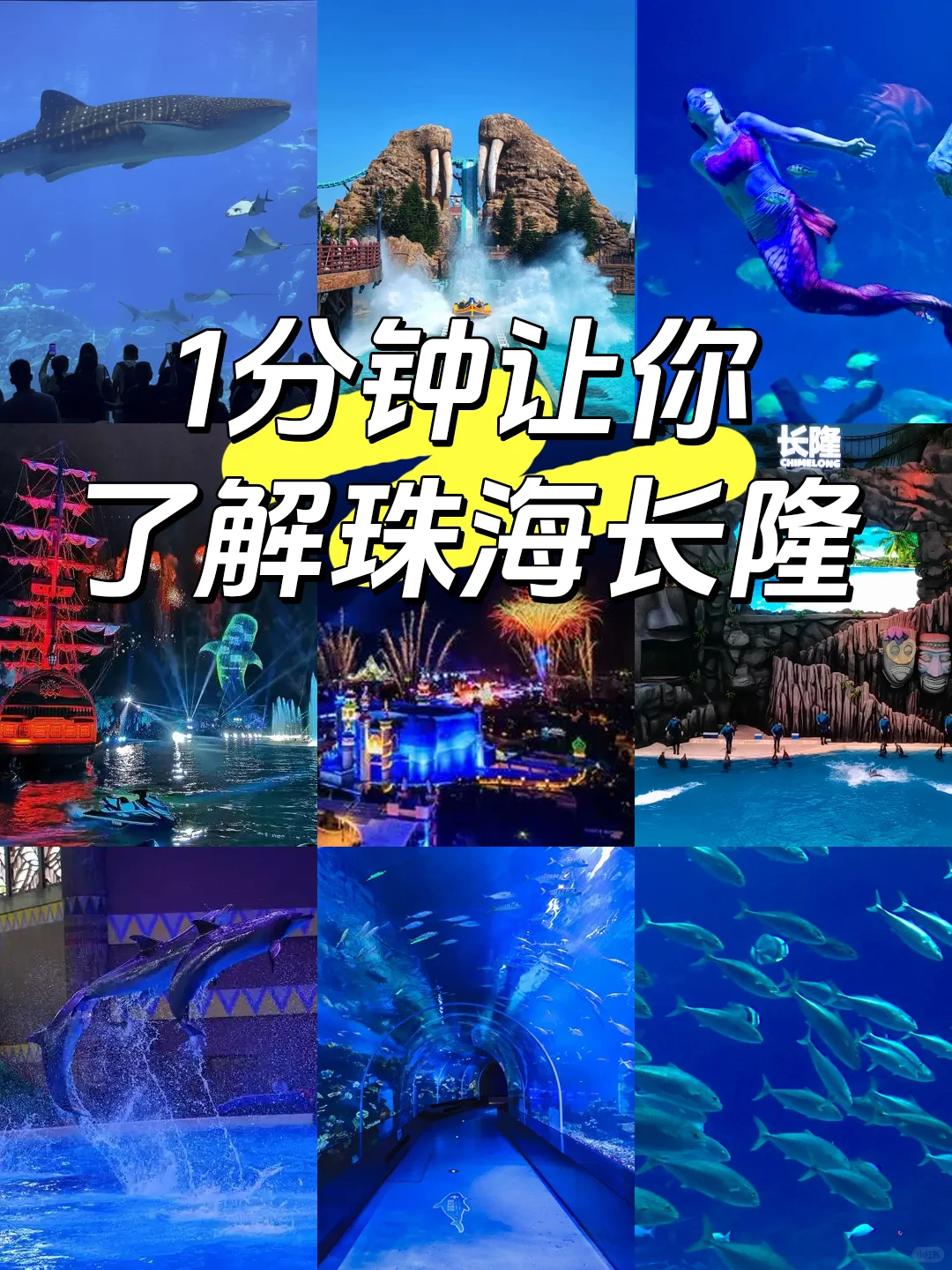 紫啧，一分钟讲清珠海长隆