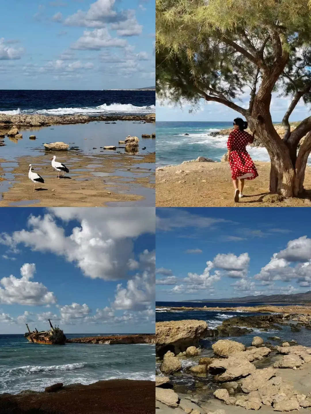 欧洲宝藏海岛国家-塞浦路斯🇨🇾全攻略1