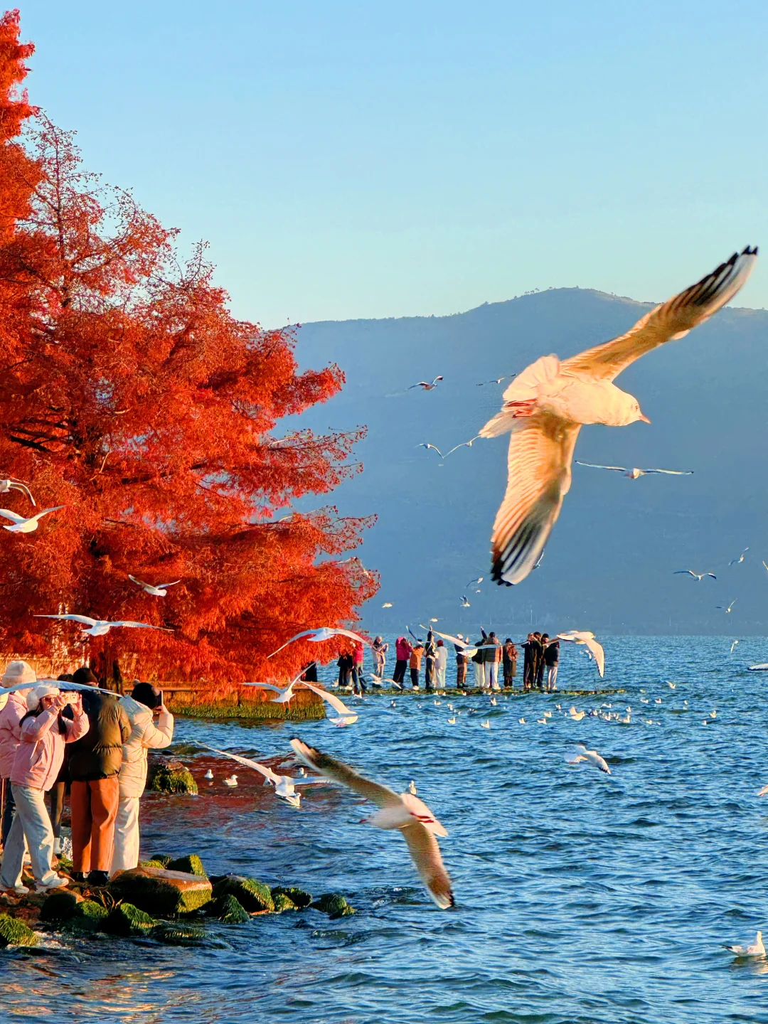 听xhs劝了 和朋友去云南报了个纯玩团后续…