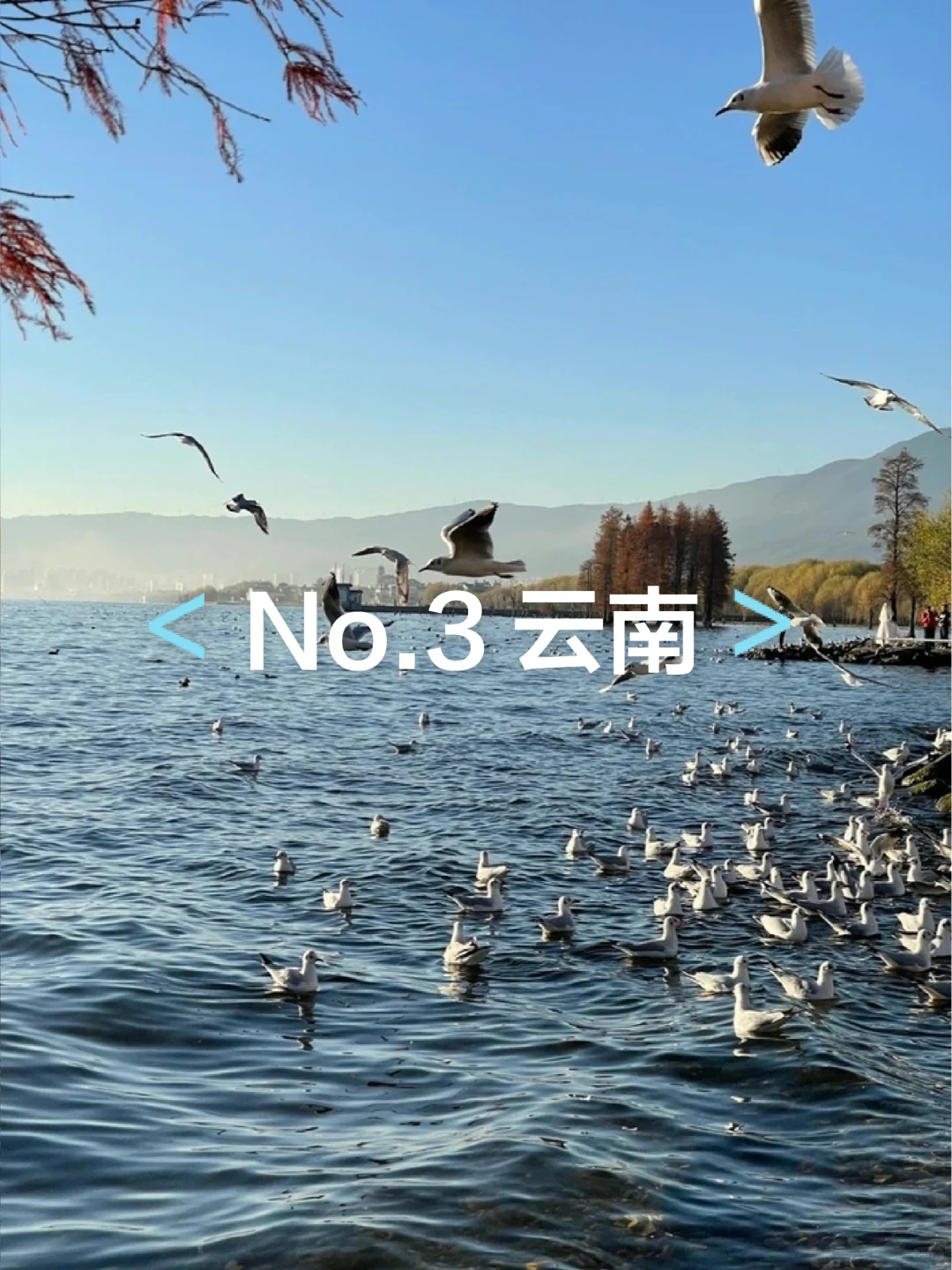 适合冬天去的六大城市❄