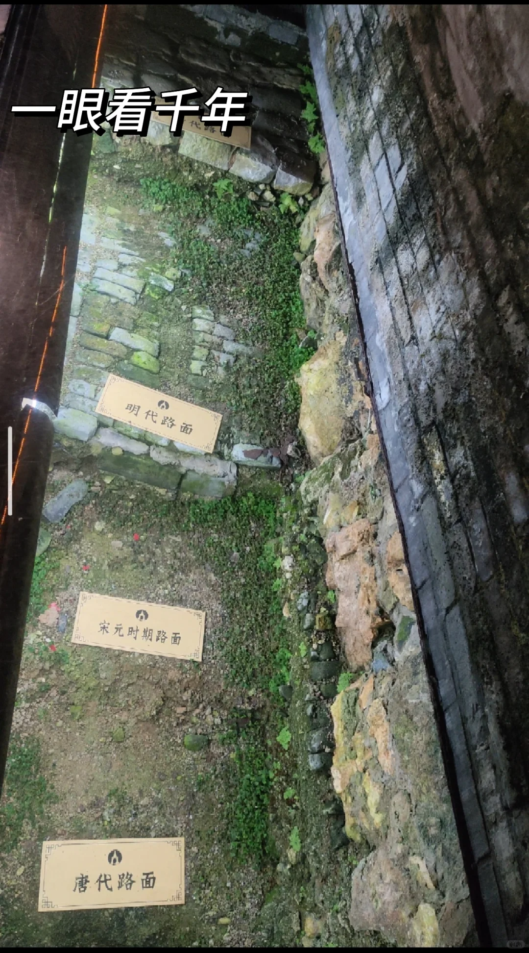 镇江旅行攻略|超详细!附路线费用