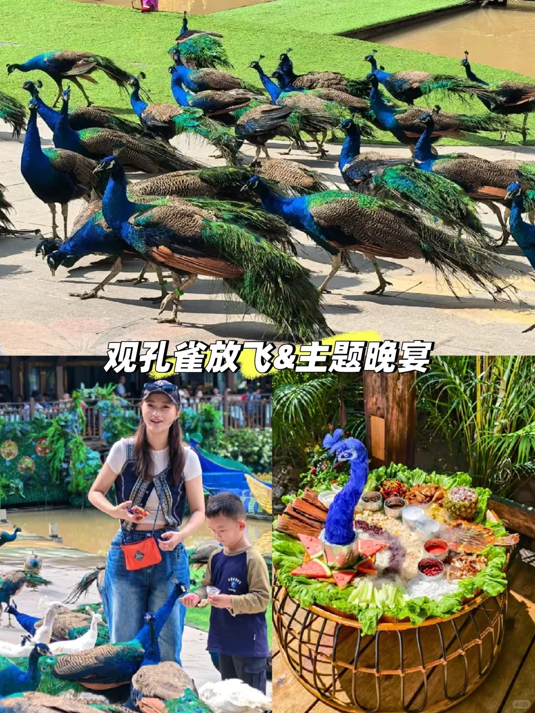 人生建议:带娃去西双版纳,一定要寒假去!