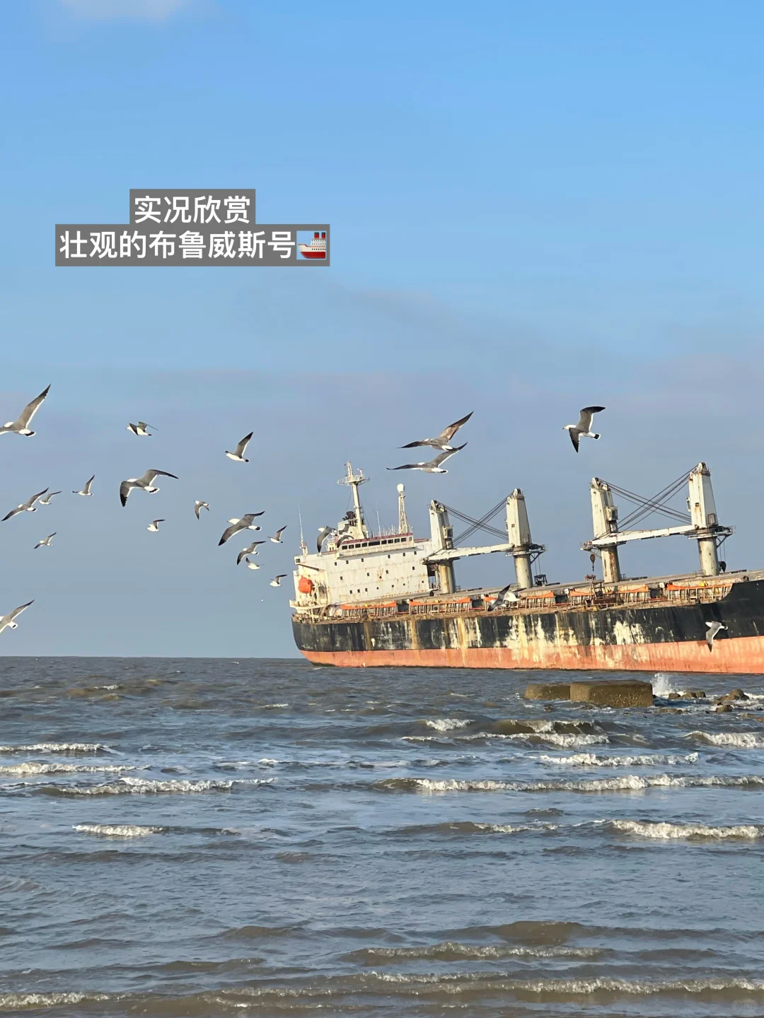 冬季威海|女大学生三天两晚人均400游玩攻略