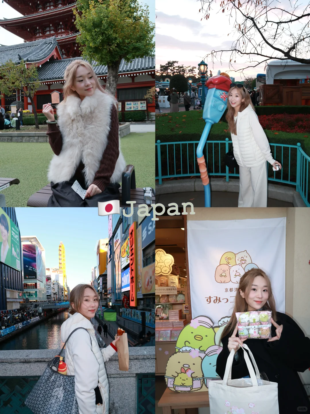 🇯🇵日本10天随性自由行小攻略