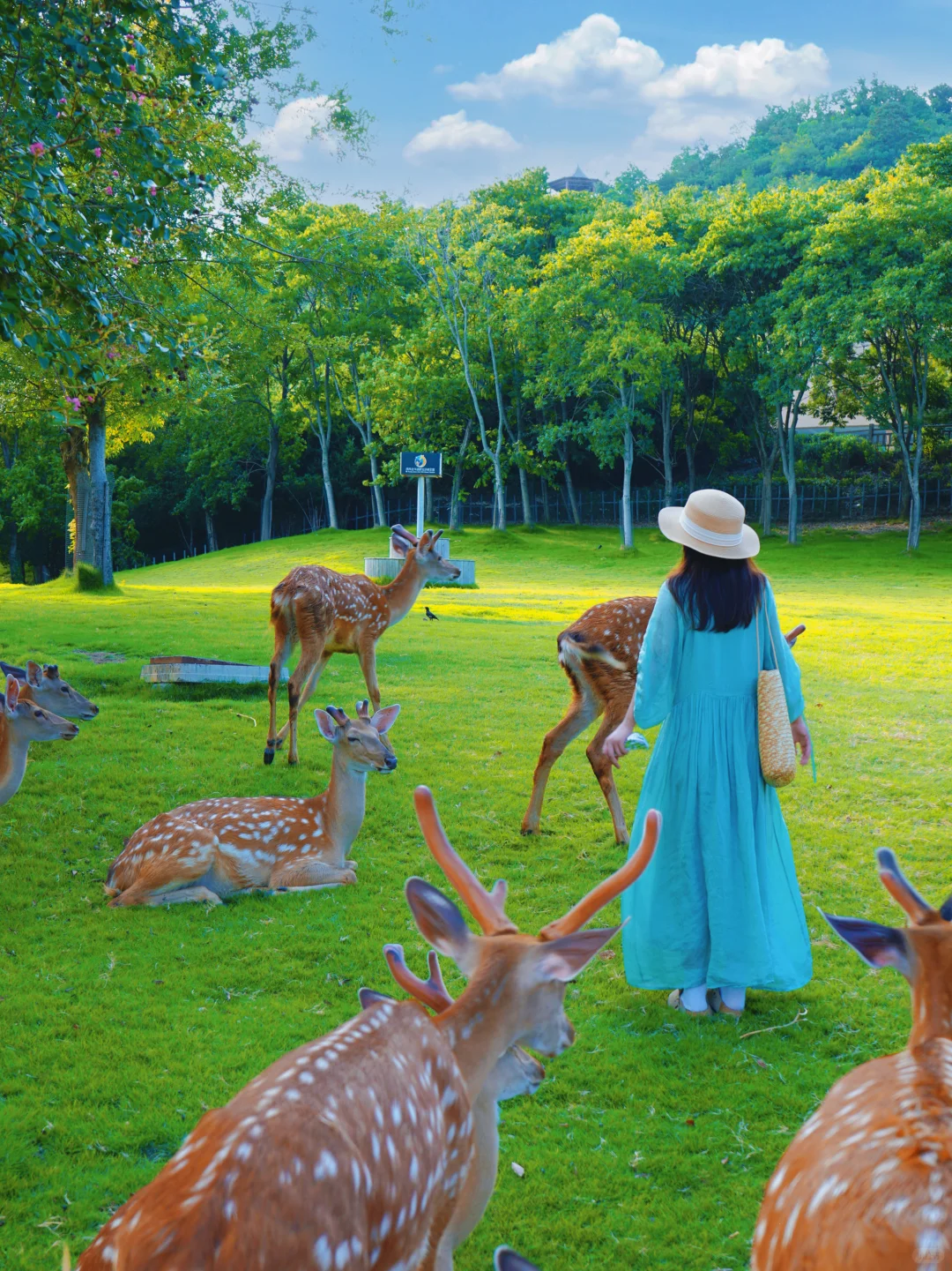 为了这18张图,我特意去了趟南京‼️