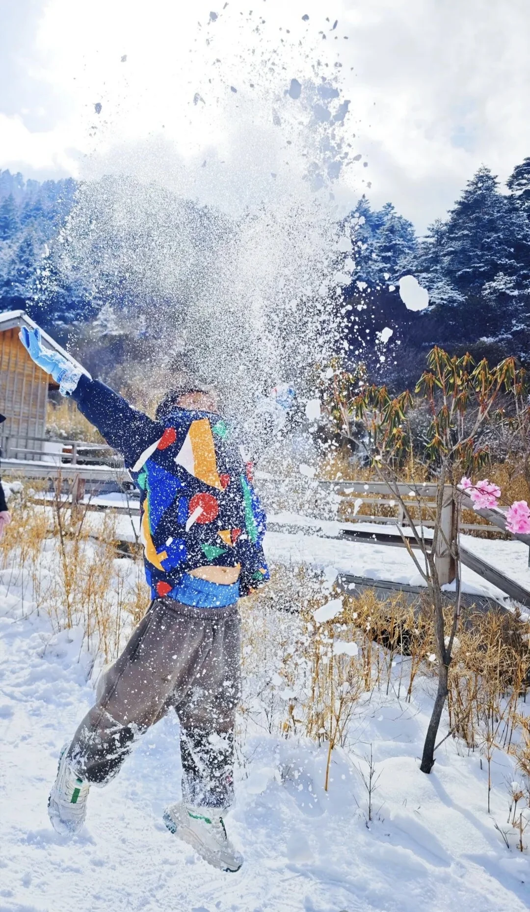 离广州最近的玩雪/滑雪攻略～神农架