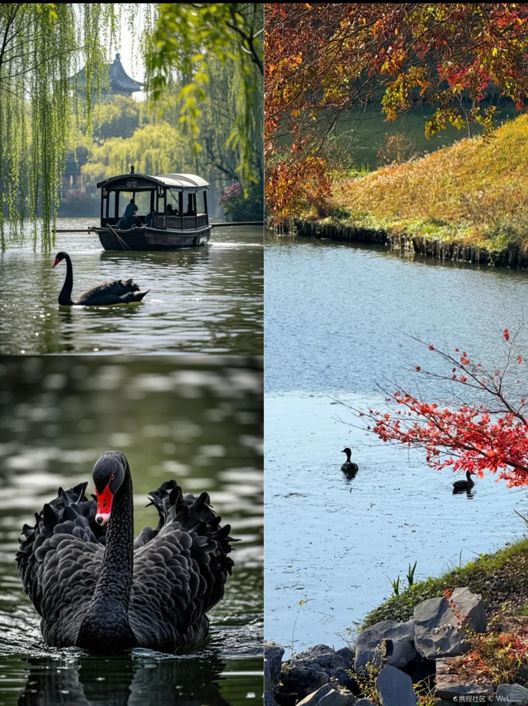 小桥流水人家,江南水乡美如画