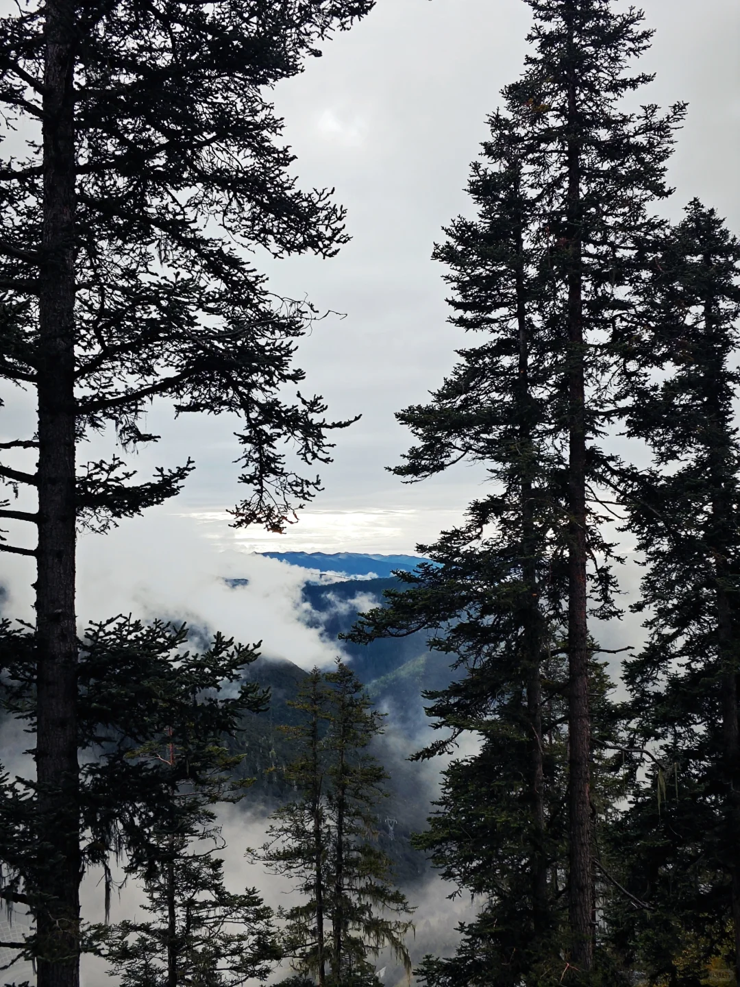 川西1个人报团旅行Tips（亲身体会）