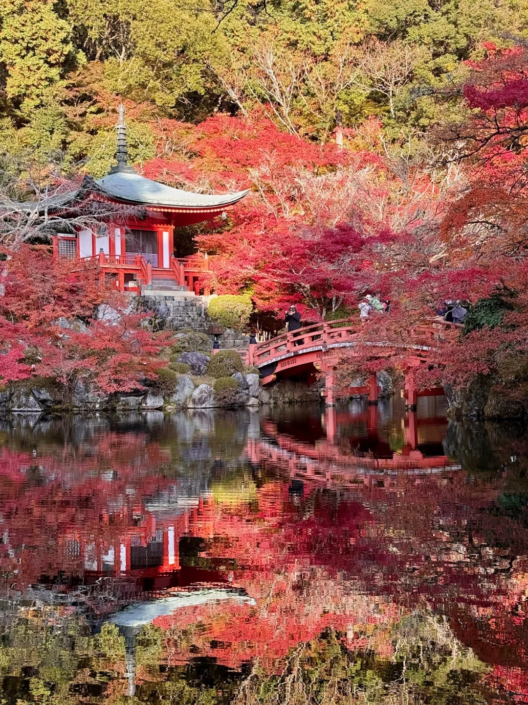 一个人旅行🇯🇵2025京都红叶我的赏枫排名