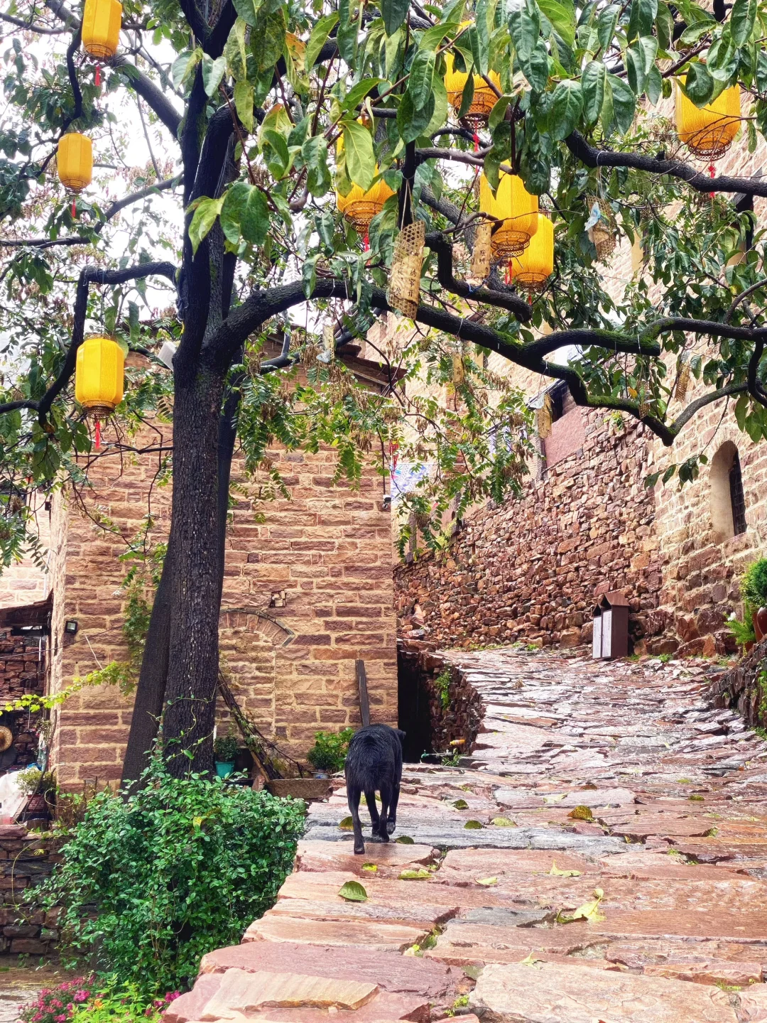 来邢台英谈古寨当一天苗族公主😍