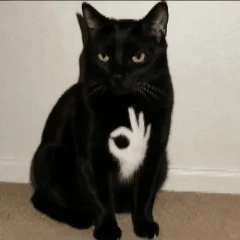 天津旅游找搭子 12.16-19/20