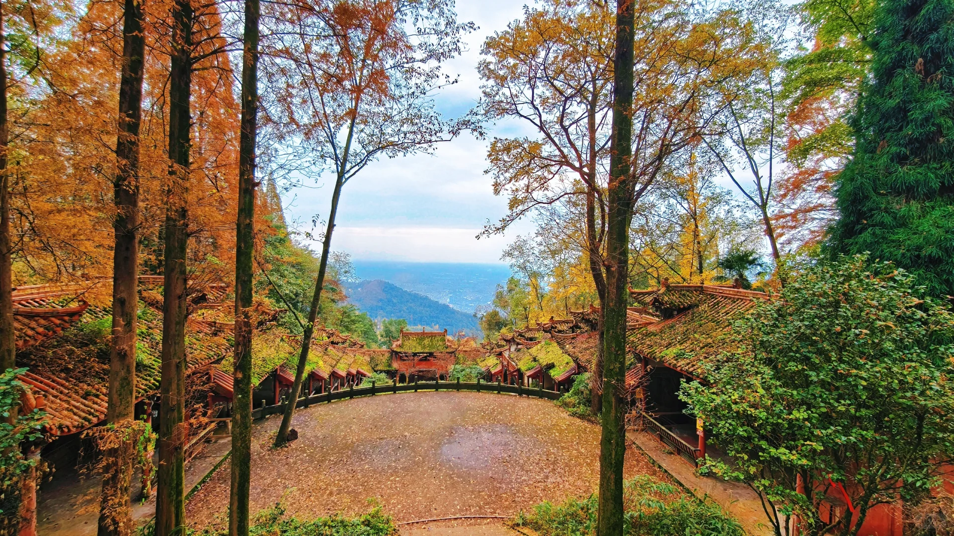 秋日古刹的静谧时光 🍁