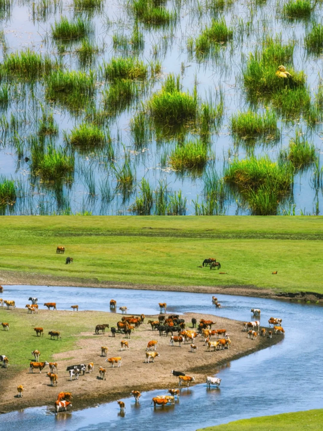 夏日呼伦贝尔6日漫游