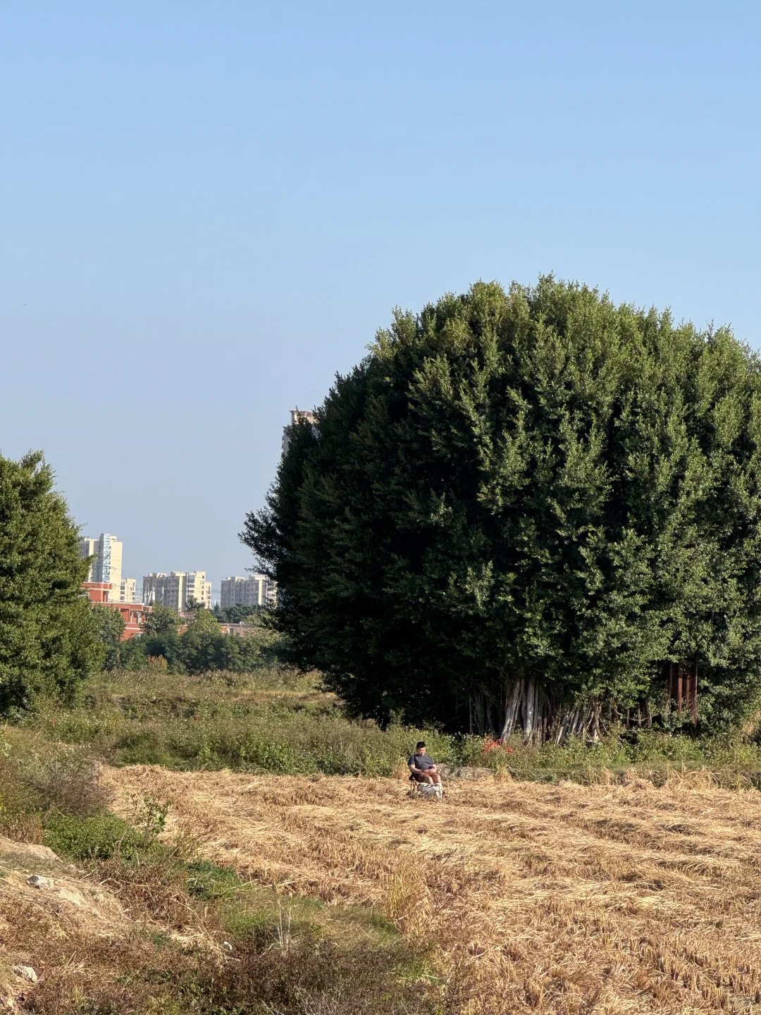 我们都向往没有天花板的地方
