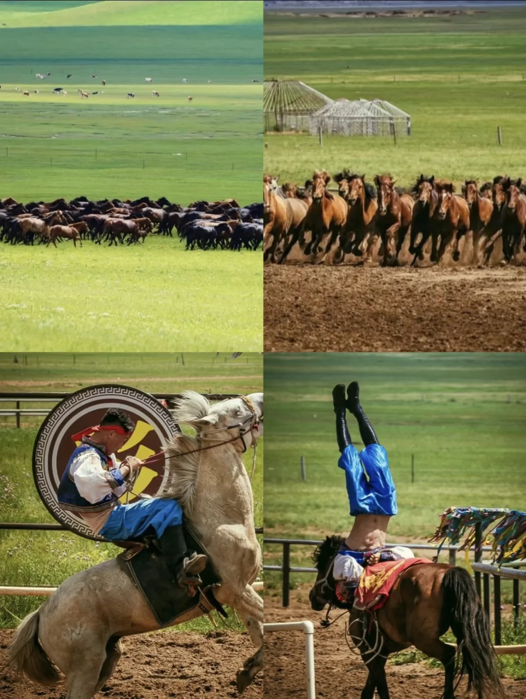 呼伦贝尔夏日躺玩攻略,绝美风光全打卡!