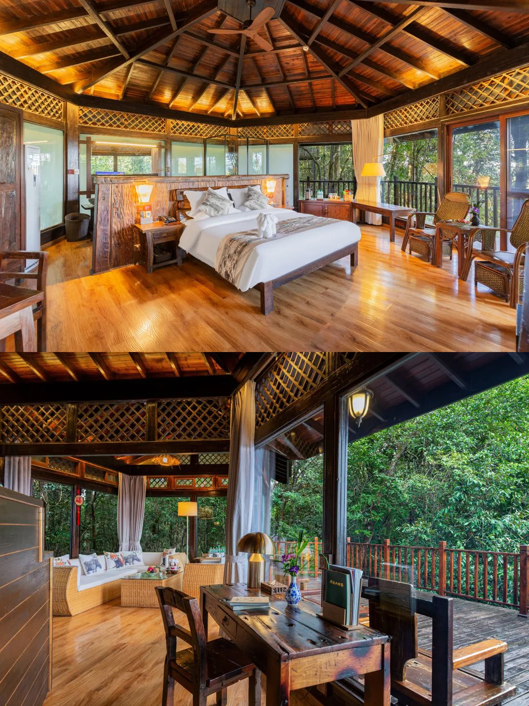 人生建议:带娃去西双版纳,一定要寒假去!