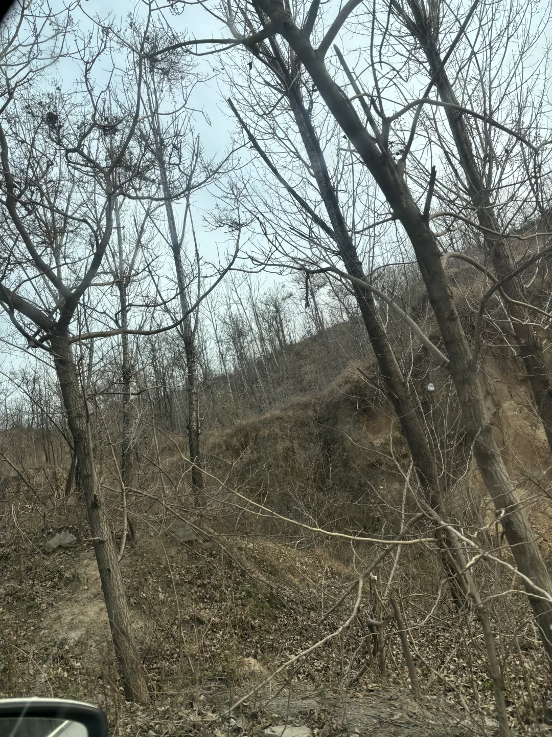 走进郑州梨园河温泉复现