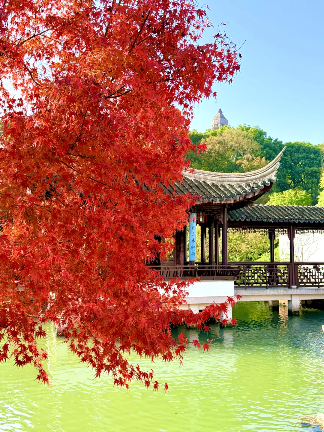 苏州12月赏秋🍂citywalk保姆级攻略(附路线)