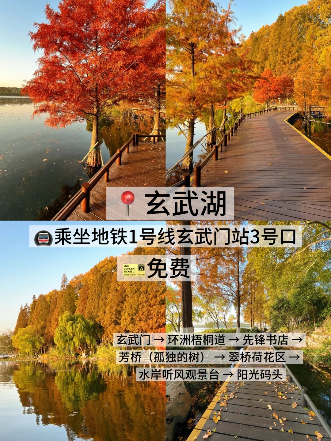 05女大学生/📍南京两天一夜旅游攻略