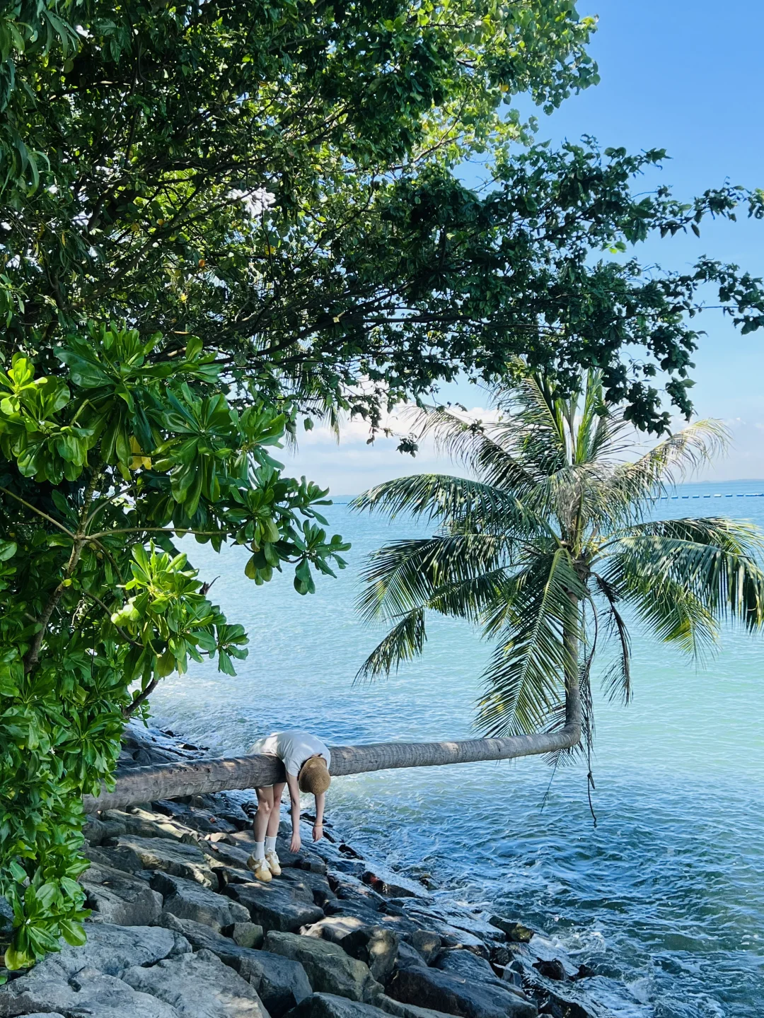 为了这18张照片,我飞了趟新加坡‼️