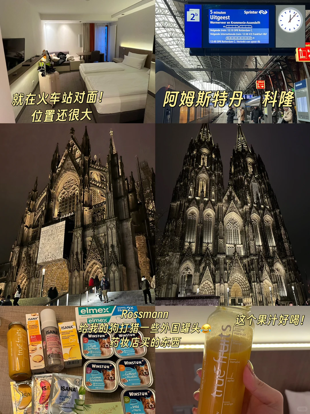 圣诞旅游计划✨ 阿姆斯特丹🇳🇱+科隆🇩🇪