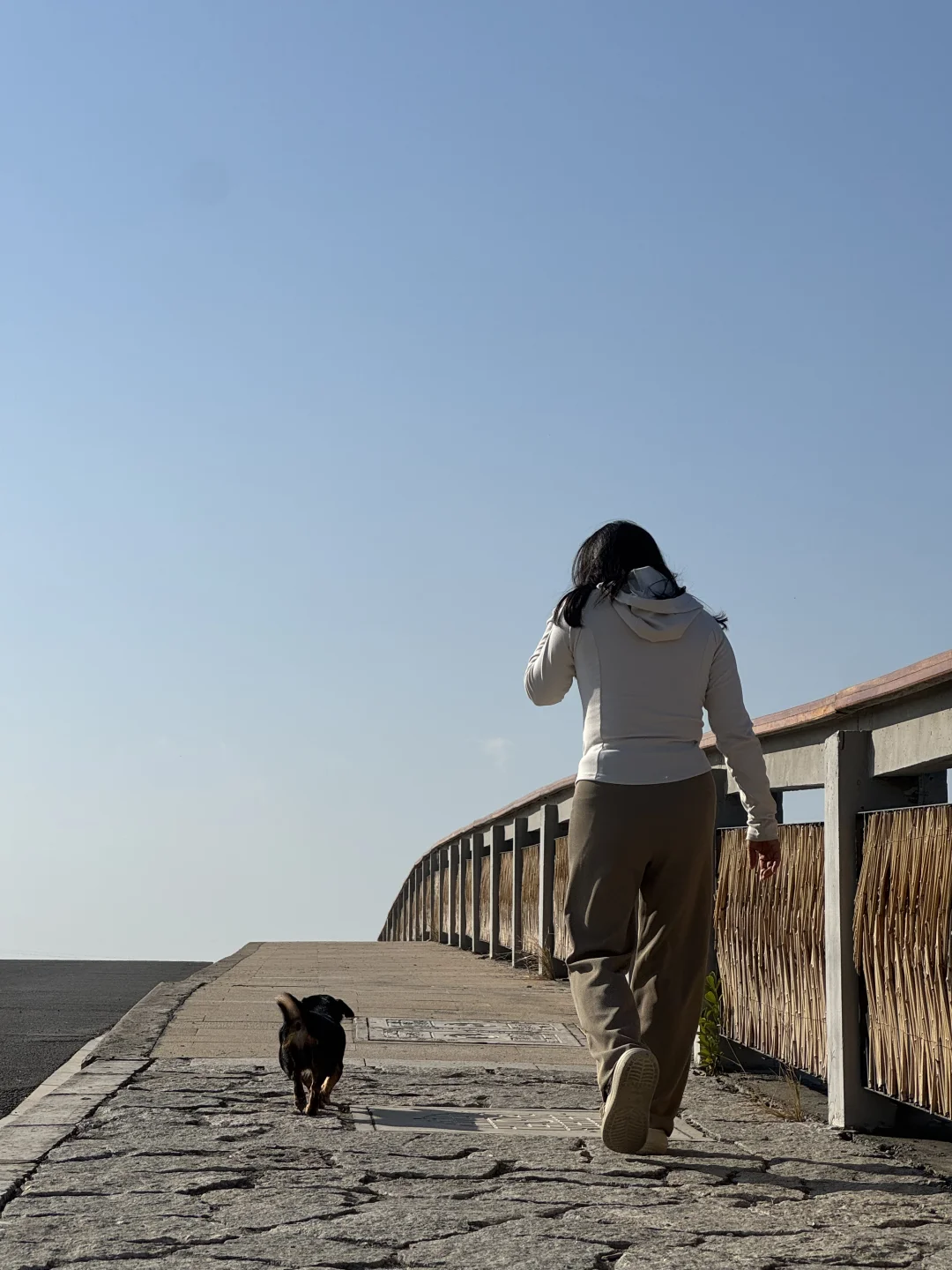 我们都向往没有天花板的地方