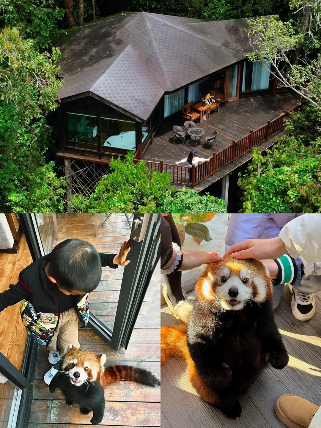 人生建议:带娃去西双版纳,一定要寒假去!