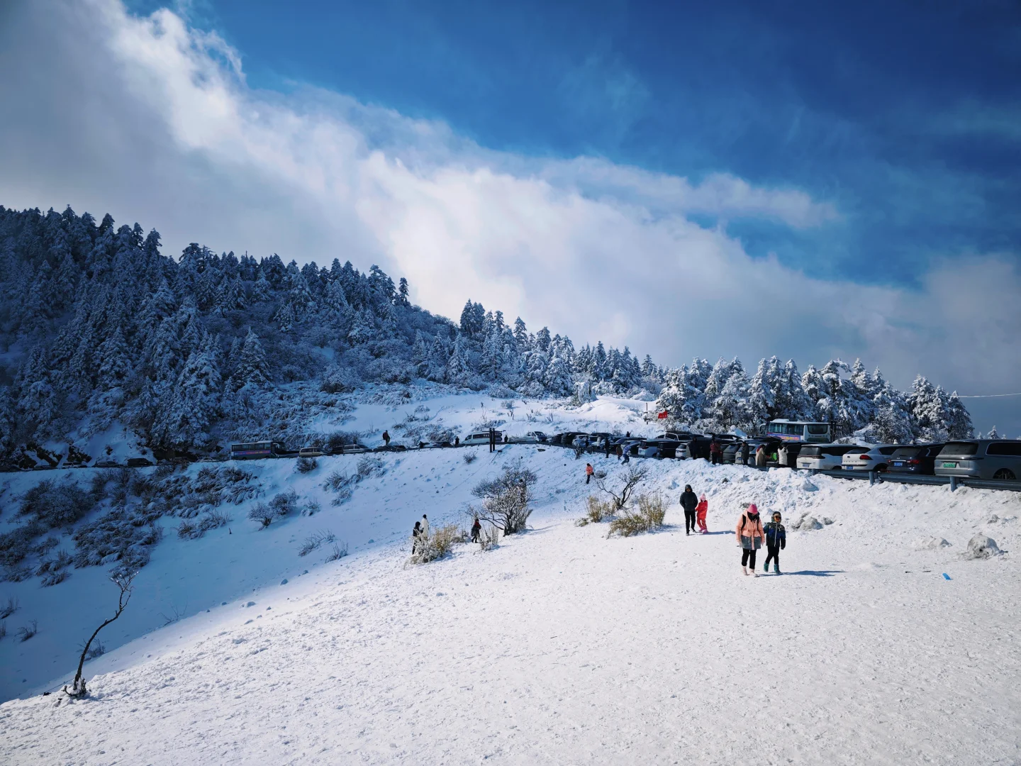 离广州最近的玩雪/滑雪攻略～神农架