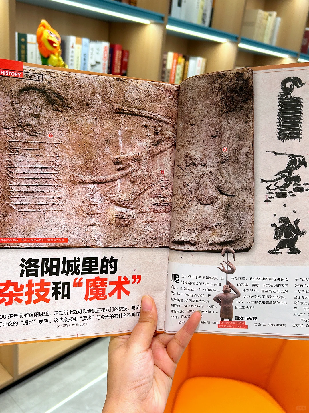 🌈好奇号打卡神都洛阳,感受盛唐繁华🌈