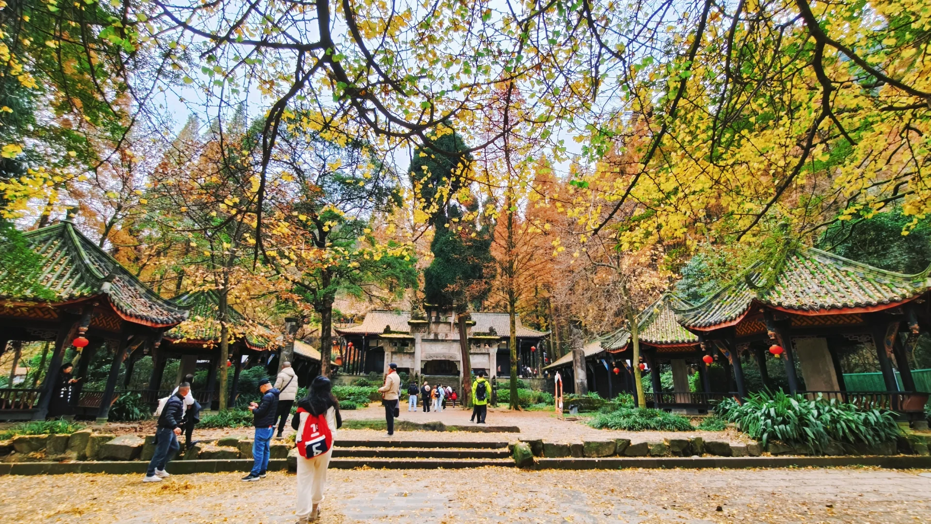 秋日古刹的静谧时光 🍁