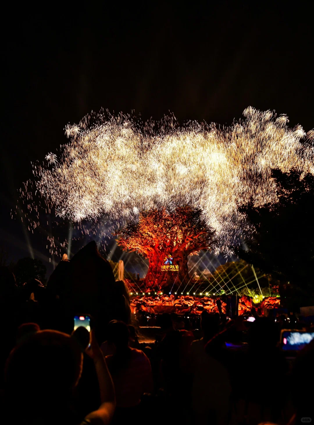 12月银基避雷攻略💣玩了两天,超好玩超值