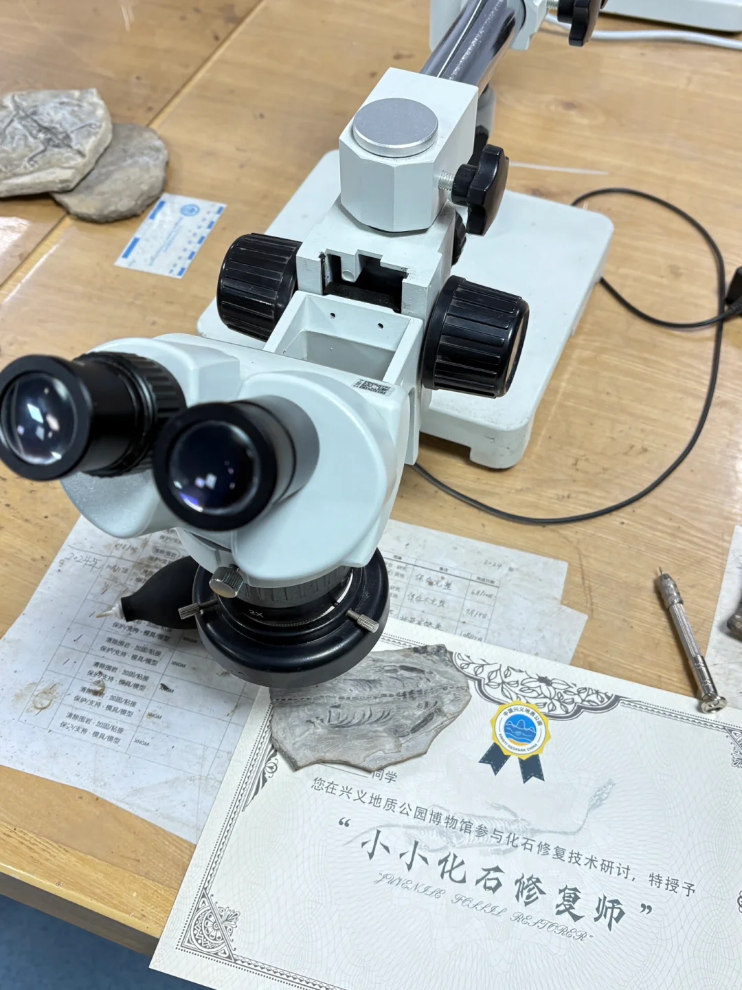 带娃贵州已回,亲测好玩的地方,下次还来😄