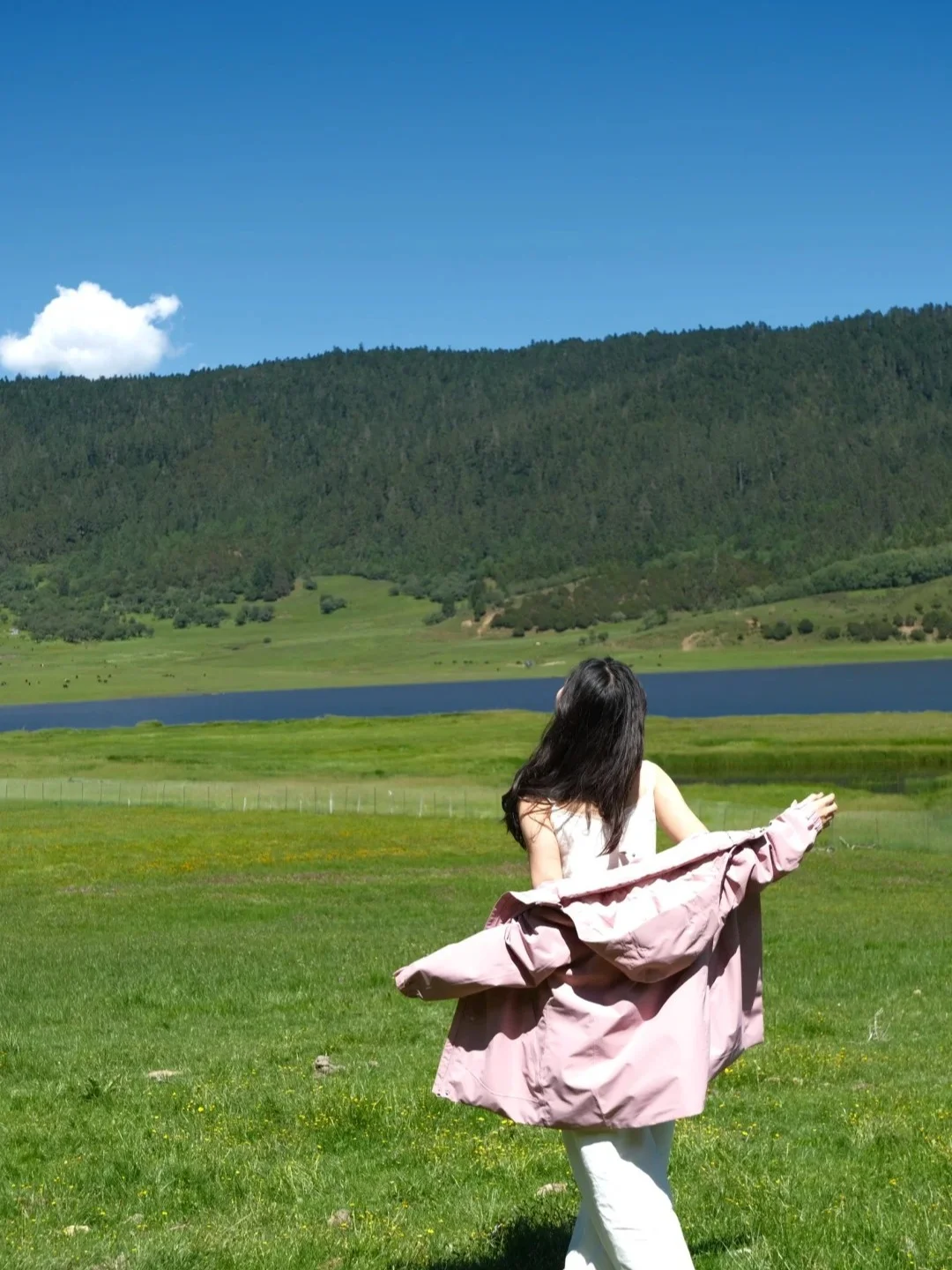 普达措徒步指南，高原秘境这样玩才尽兴！