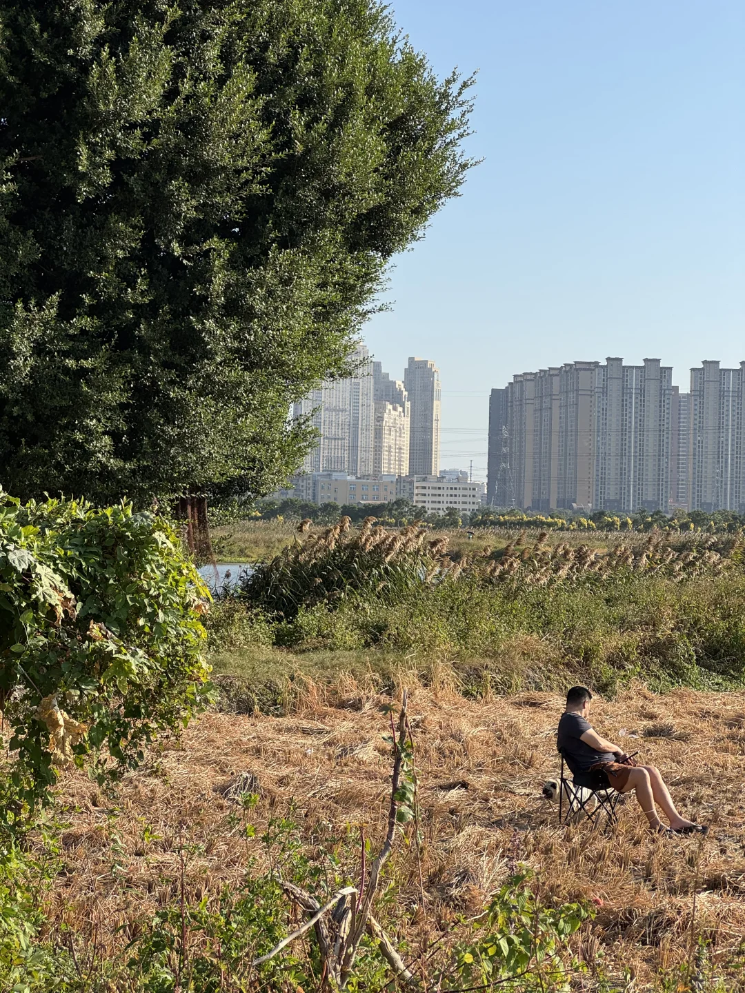 我们都向往没有天花板的地方