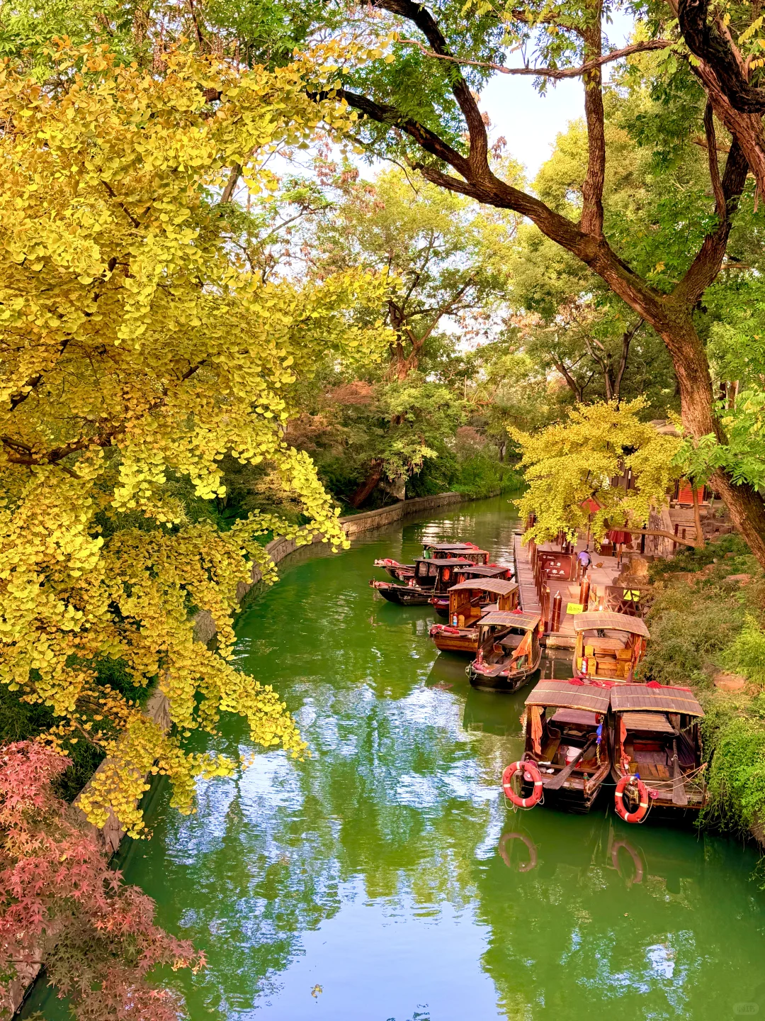 苏州12月赏秋🍂citywalk保姆级攻略(附路线)