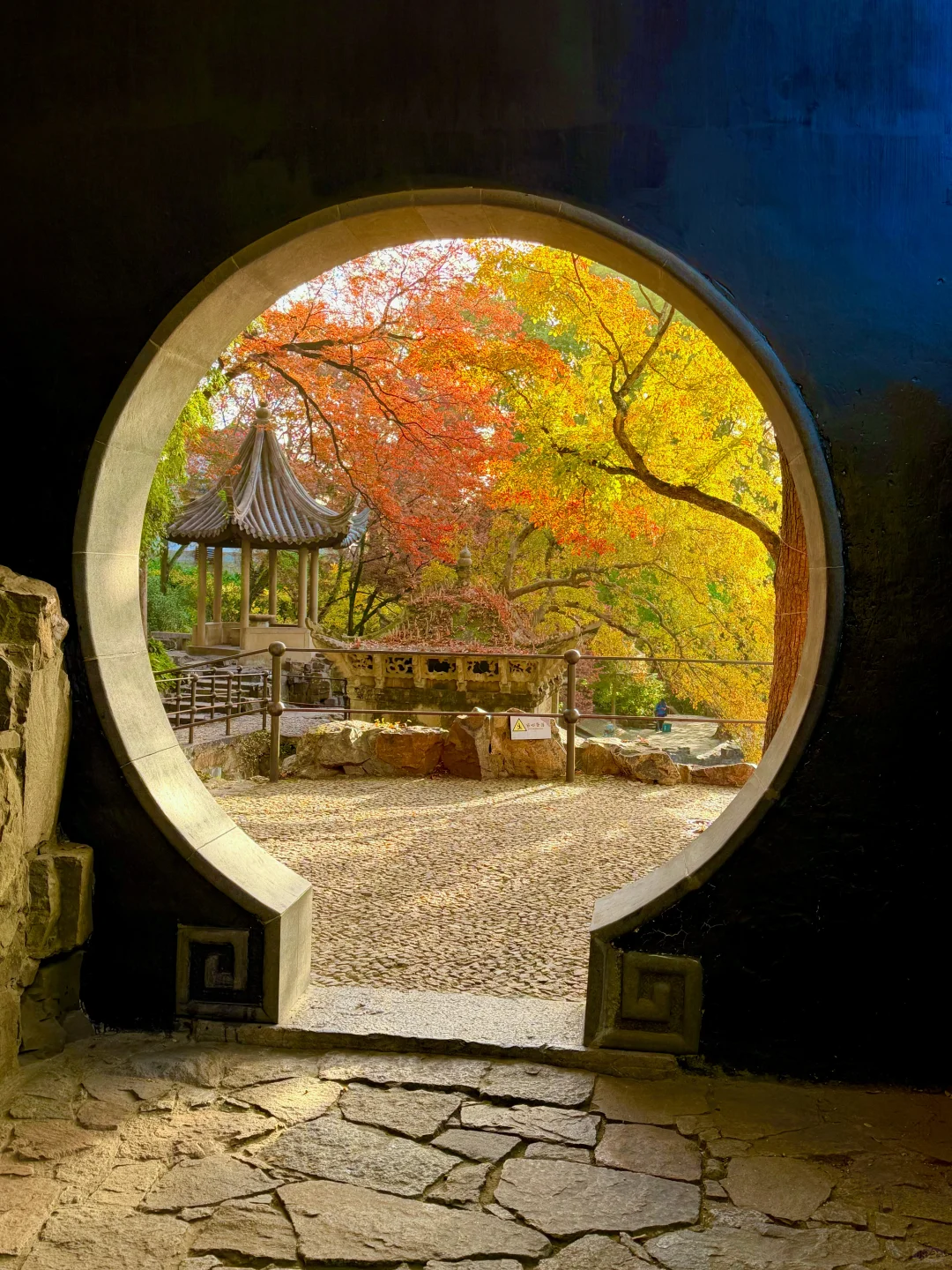 苏州12月赏秋🍂citywalk保姆级攻略(附路线)