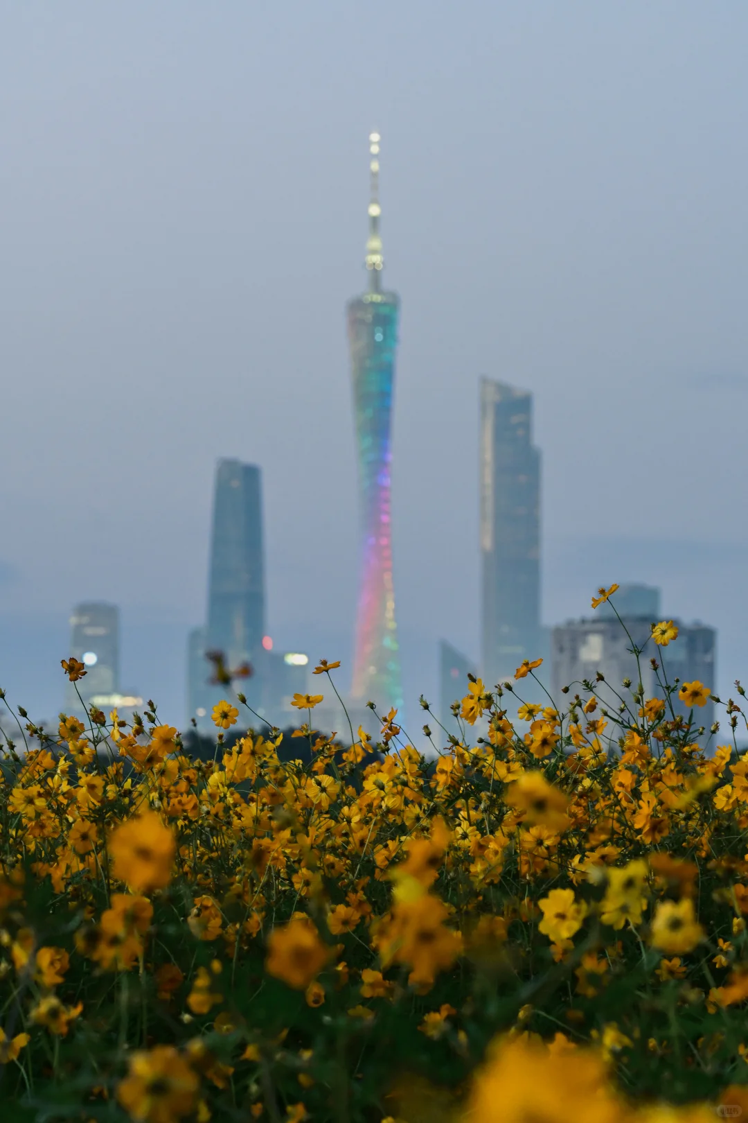 来广州旅游，跟着这份攻略打卡拍出最美广州