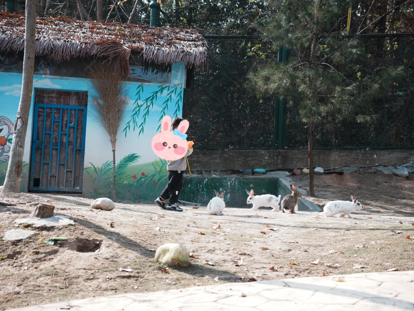 武汉遛娃|藏在景区的小天地木兰动物王国