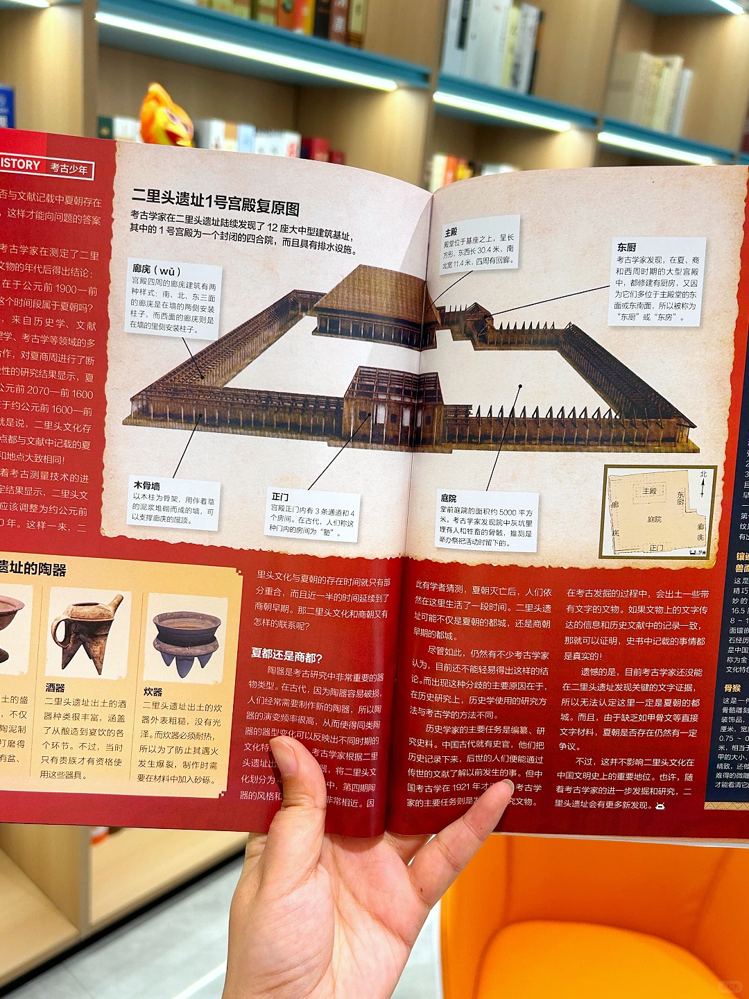 🌈好奇号打卡神都洛阳,感受盛唐繁华🌈