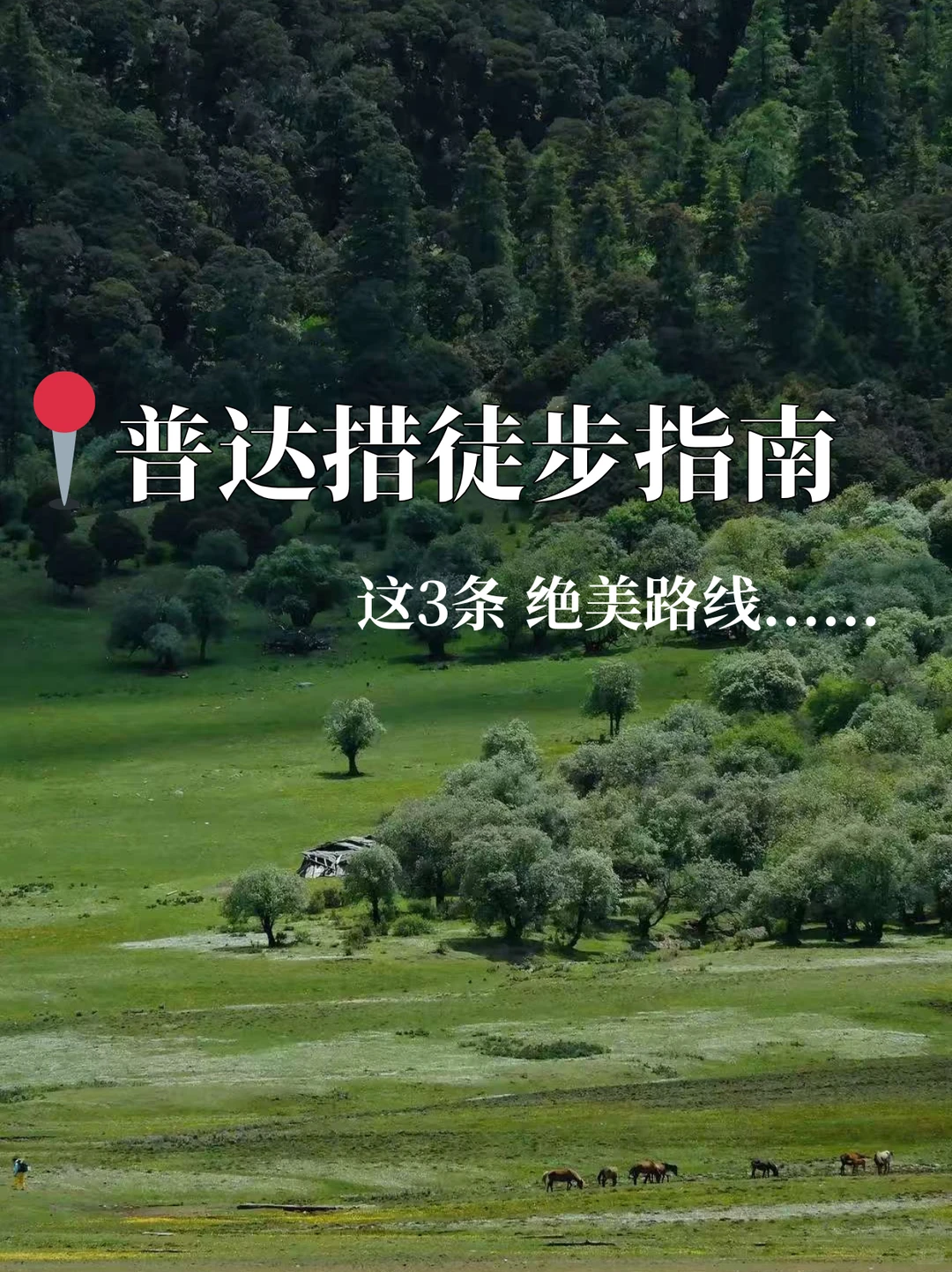 普达措徒步指南，高原秘境这样玩才尽兴！