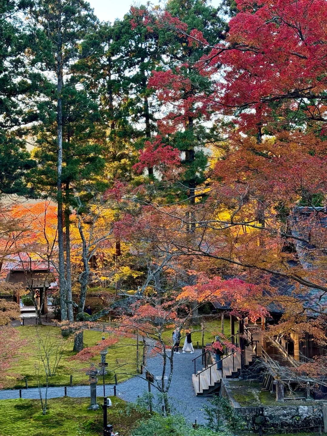 一个人旅行🇯🇵2025京都红叶我的赏枫排名