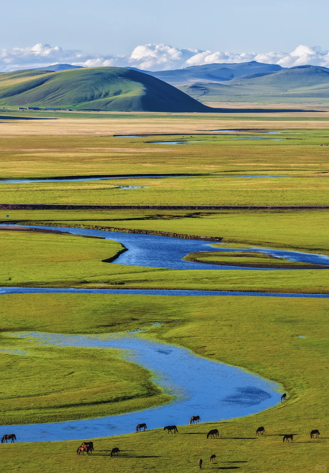 夏日呼伦贝尔6日漫游