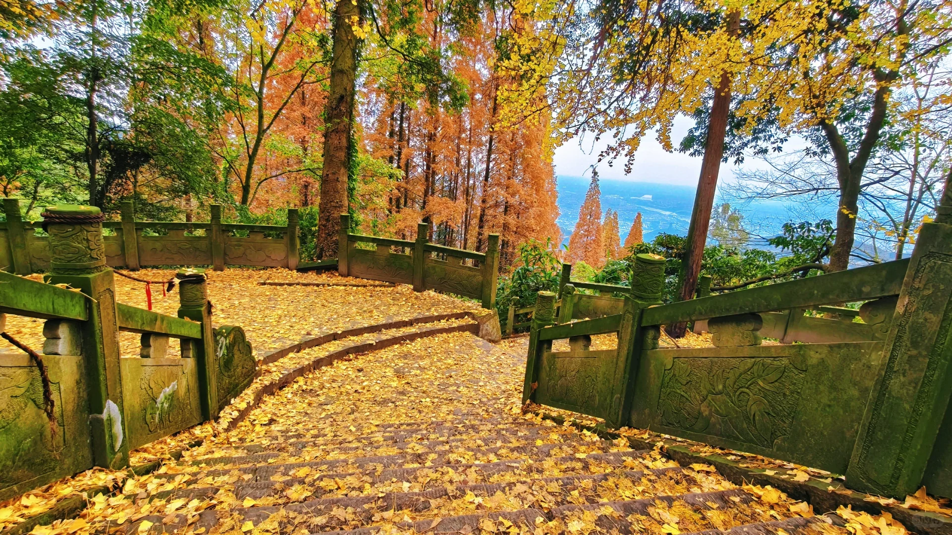 秋日古刹的静谧时光 🍁