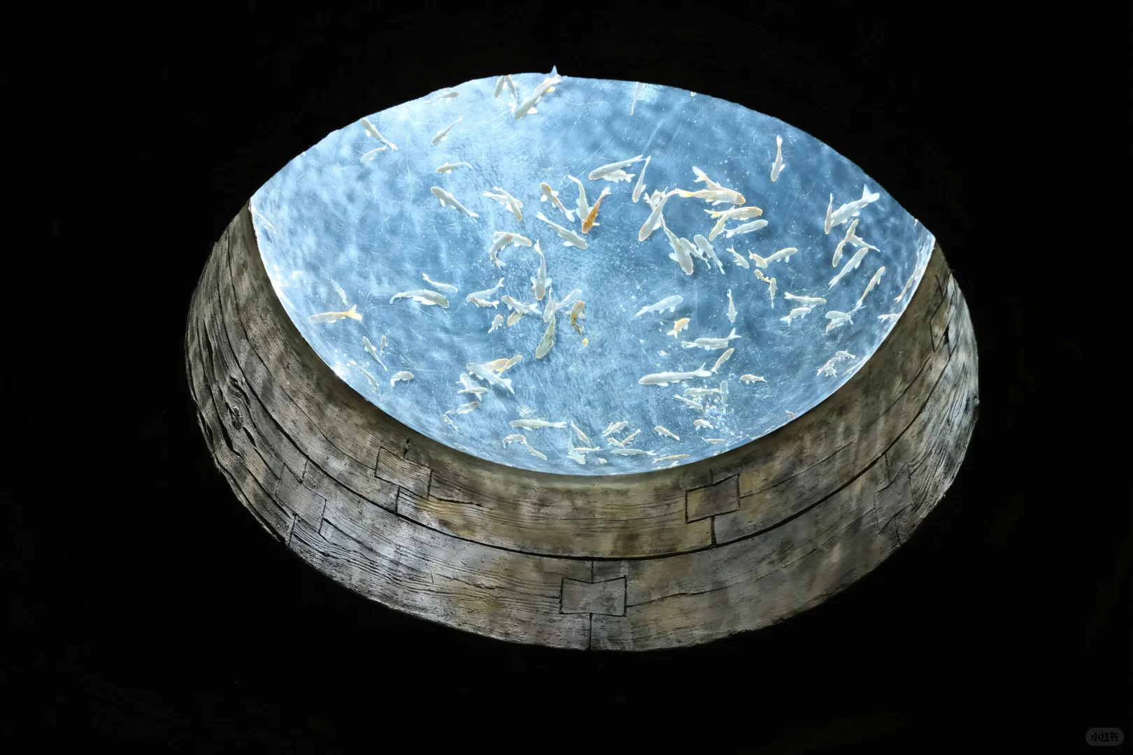 12月银基避雷攻略💣玩了两天,超好玩超值