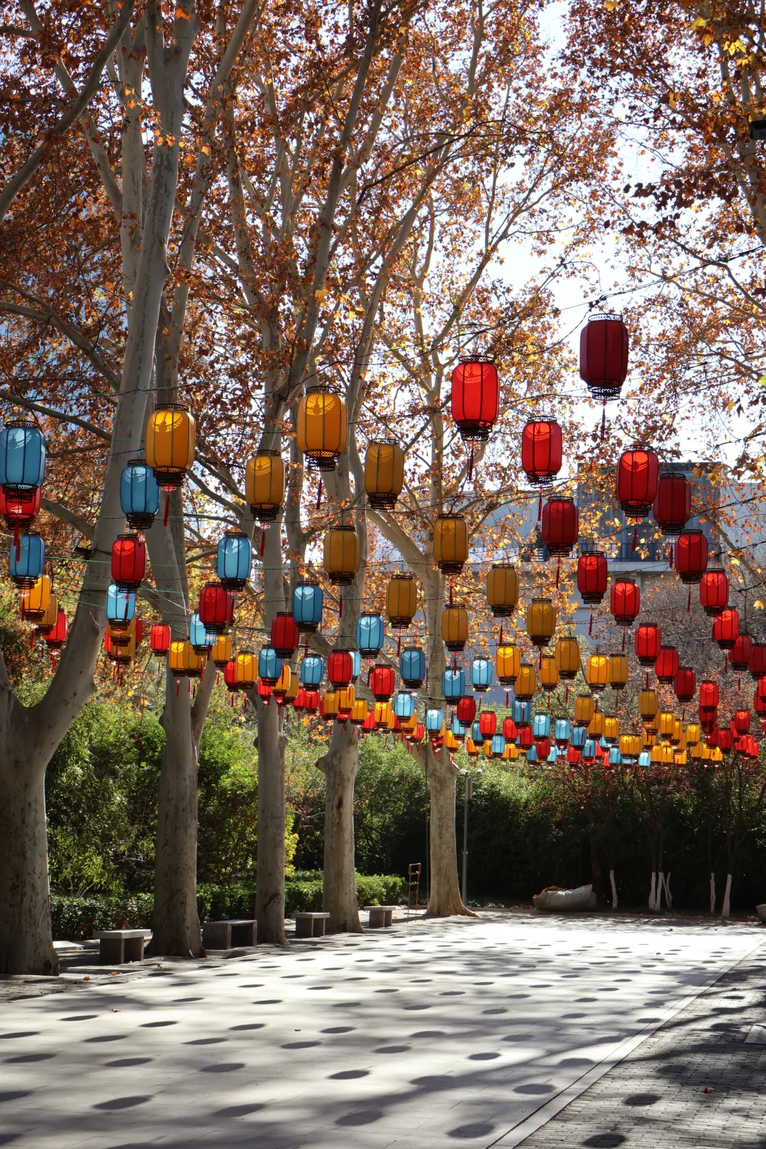 📍丛台一日最佳路线🛣️