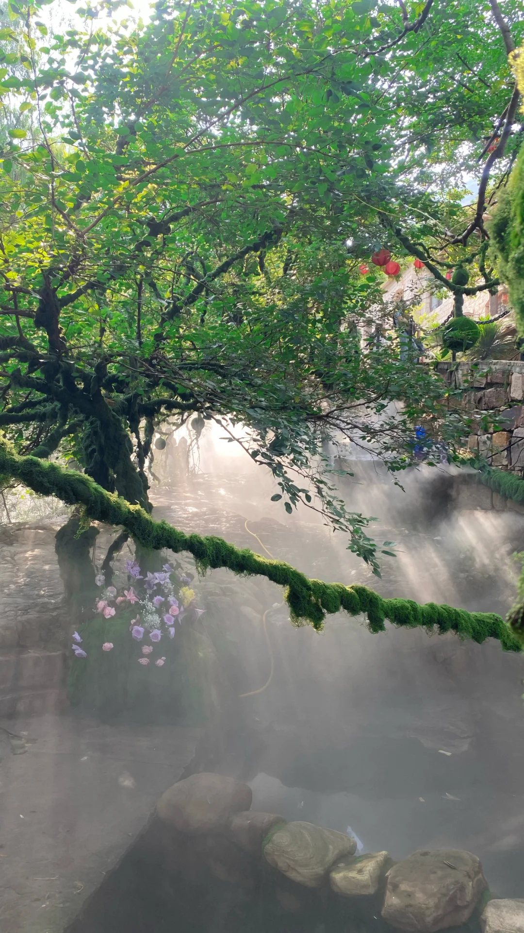 📍武安十六沟｜属于武安的绿野仙踪🌳