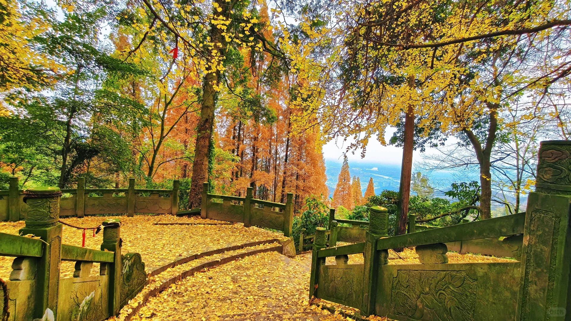 秋日古刹的静谧时光 🍁