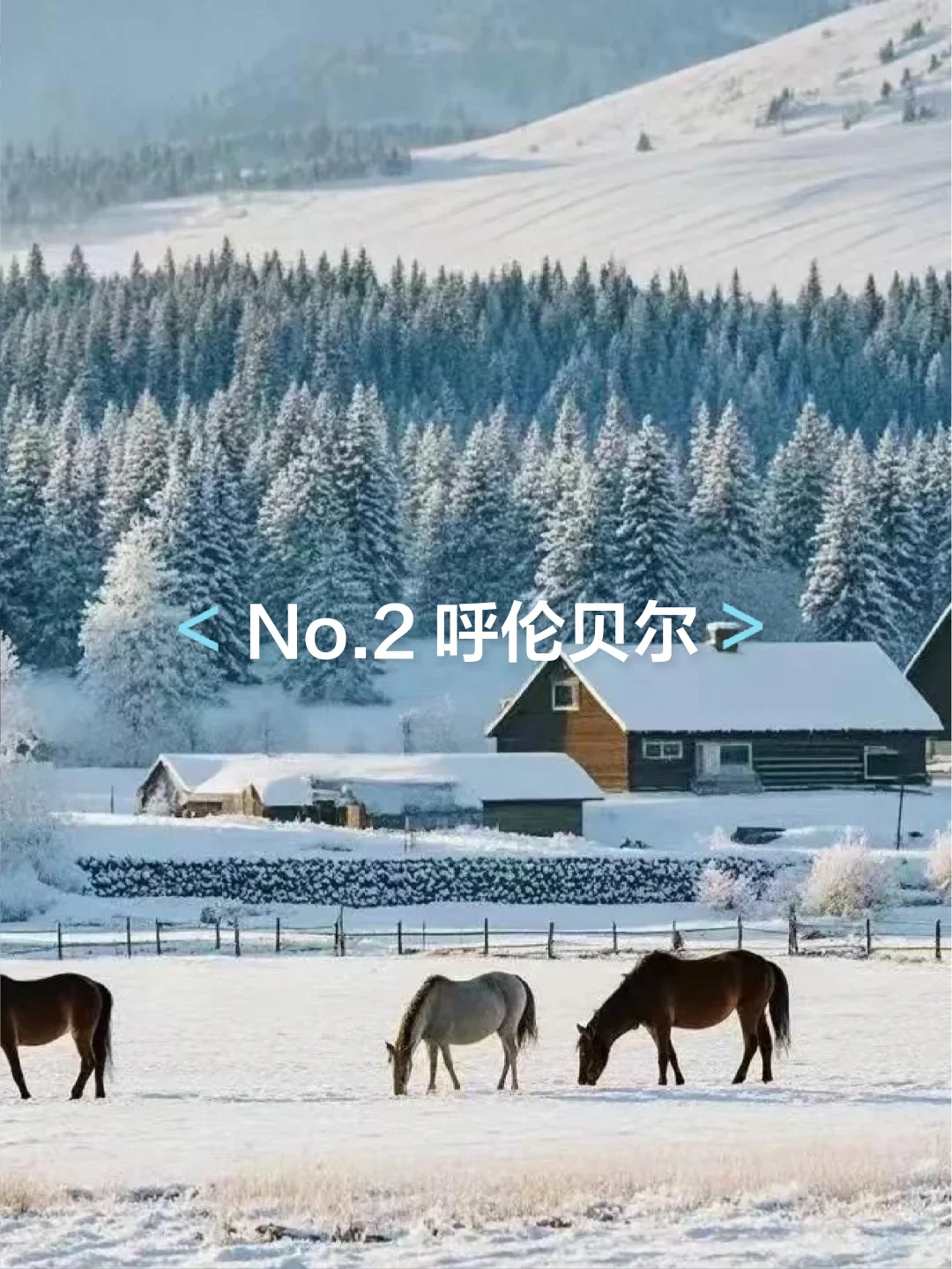 适合冬天去的六大城市❄