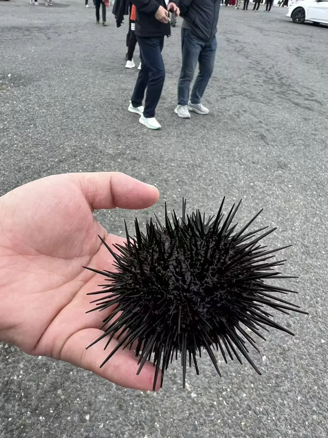 暑假带娃去长白山延吉俄罗斯玩七天怎么样